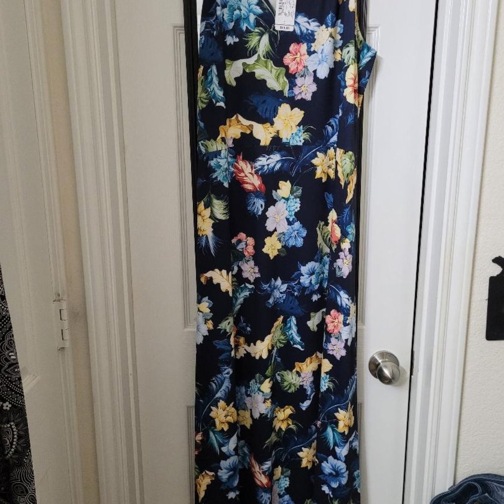 Christopher and Banks dress